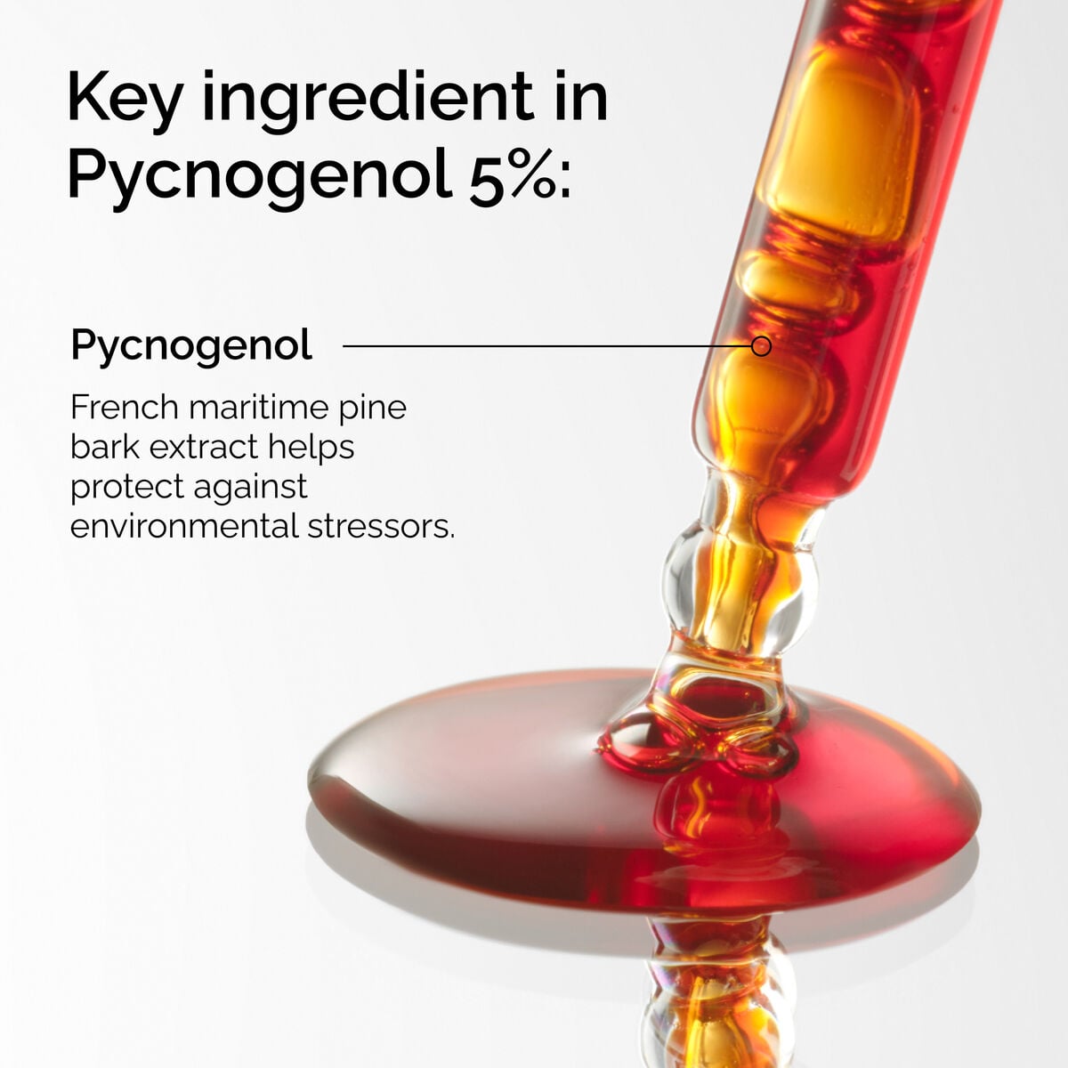 pycnogenol-5-n4 FY25-D41247-ORD-Web-PDP-Pyc-5pct-1x1-EN-2a.jpg