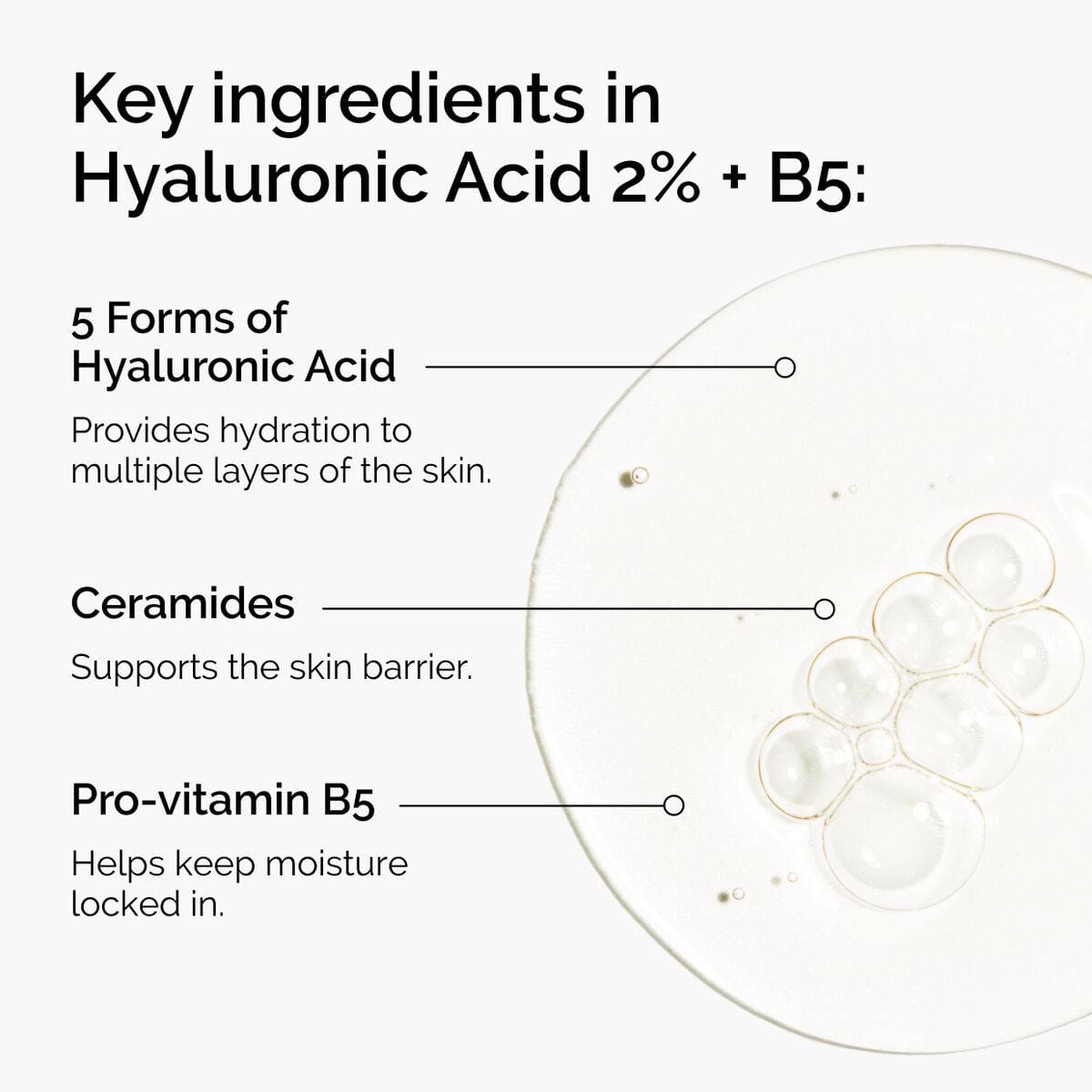 hyaluronic-acid-2-b5-with-ceramides-g2 ord-hyaluronic-acid-2pct-b5-hydrating-serum-ingredients-graphic.jpg