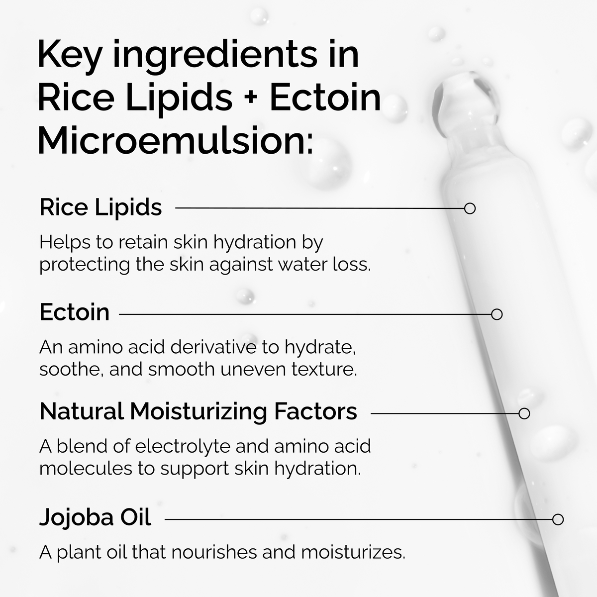 rice-lipids-ectoin-microemulsion-o0 ord-rice-lipids-ectoin-microemulsion-key-ingredients.png