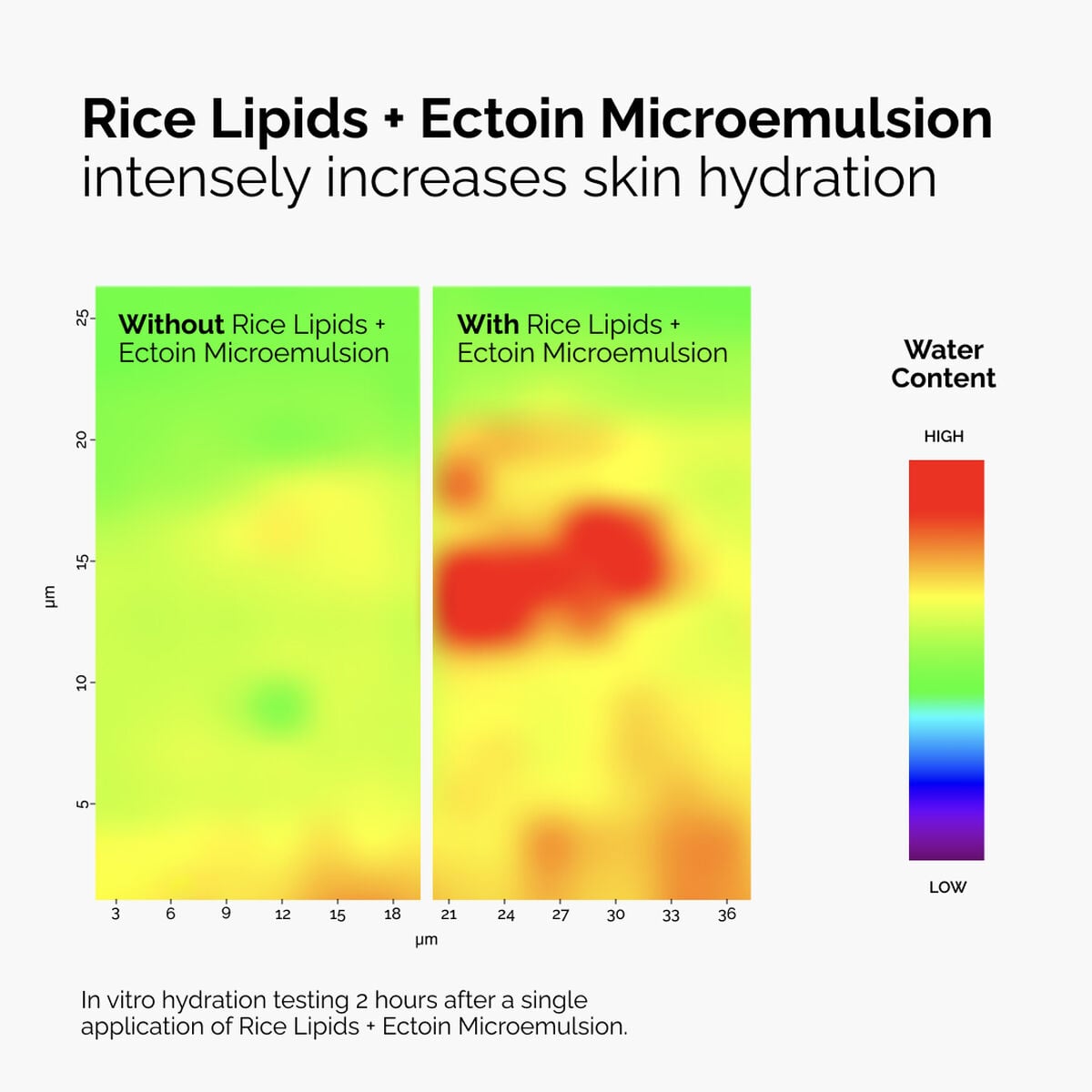 rice-lipids-ectoin-microemulsion-o0 ord-rice-lipids-ectoin-microemulsion-thermal-before-after.jpg